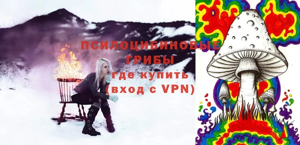 бошки Зеленодольск