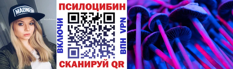 магазин продажи наркотиков  Кирсанов  Псилоцибиновые грибы Psilocybe 